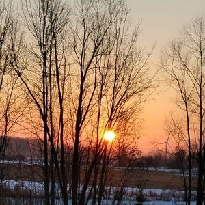 Meet your Posher, Meadow